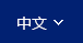 中文版