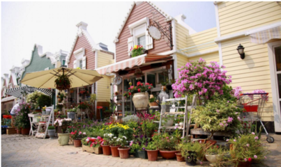 深圳免費景點推薦 探索花卉之美，擁抱自然芬芳