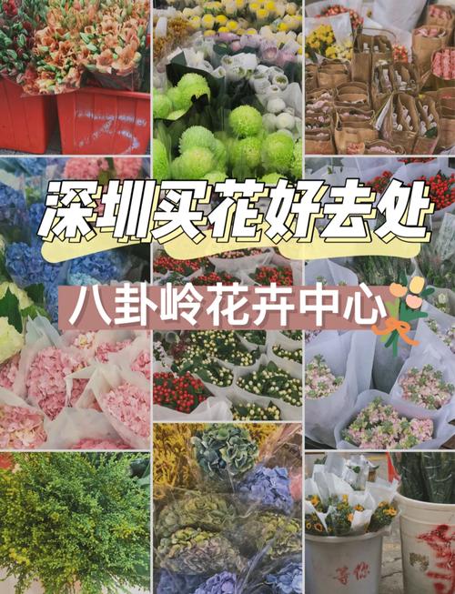 深圳買花攻略 從大型市場到社區花店，尋香覓色全指南