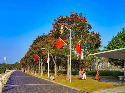 深圳四月花歷 繁花盛宴，赴一場嶺南春日之約